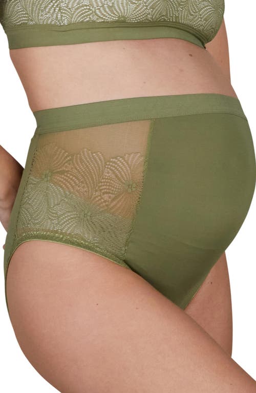 Cache Coeur Maxi Maternity Panties Dahlia In Multi