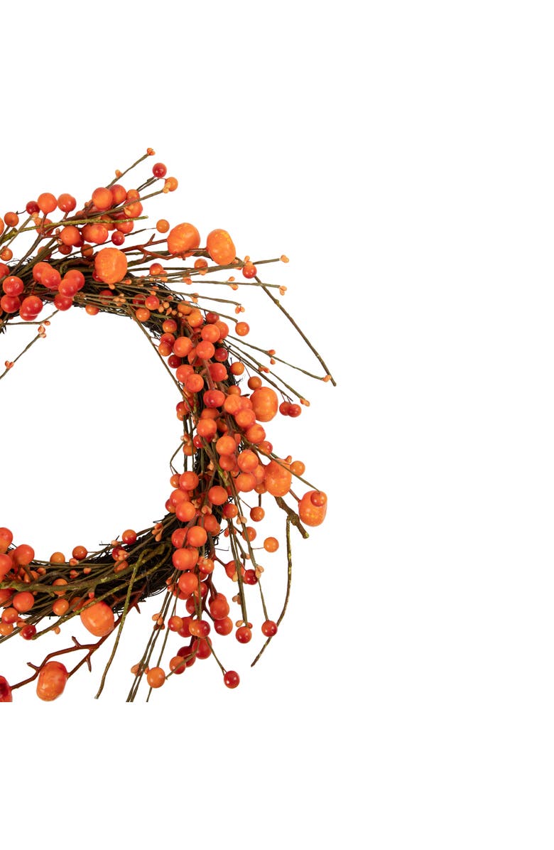 Northlight Mini Pumpkins and Berries Artificial Fall Harvest Twig Wreath - 20", Alternate, color, Red