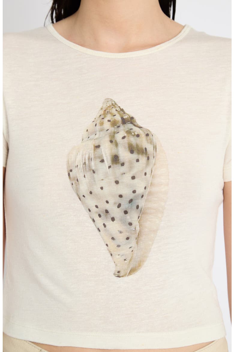 Shell Graphic Tee, Alternate, color, OFF WHITE