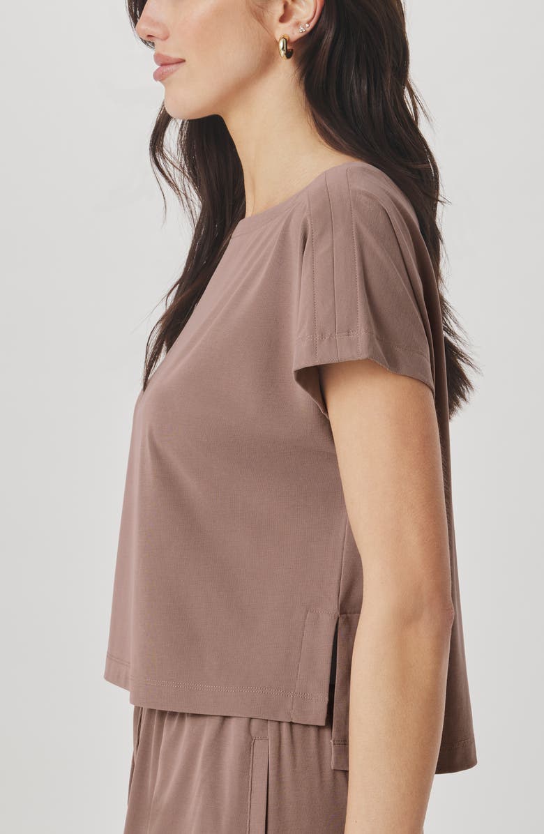 Splendid Sasha Sandwash T-Shirt, Alternate, color, Wicker Beige