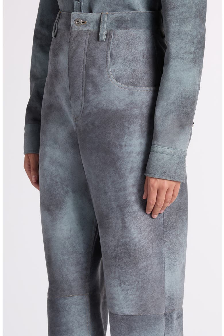 Cloudy Suede Pants, Alternate, color, 4690 CLOUDY INDIGO