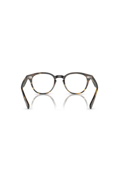 Oliver Peoples 48mm Phantos Optical Glasses In Brown