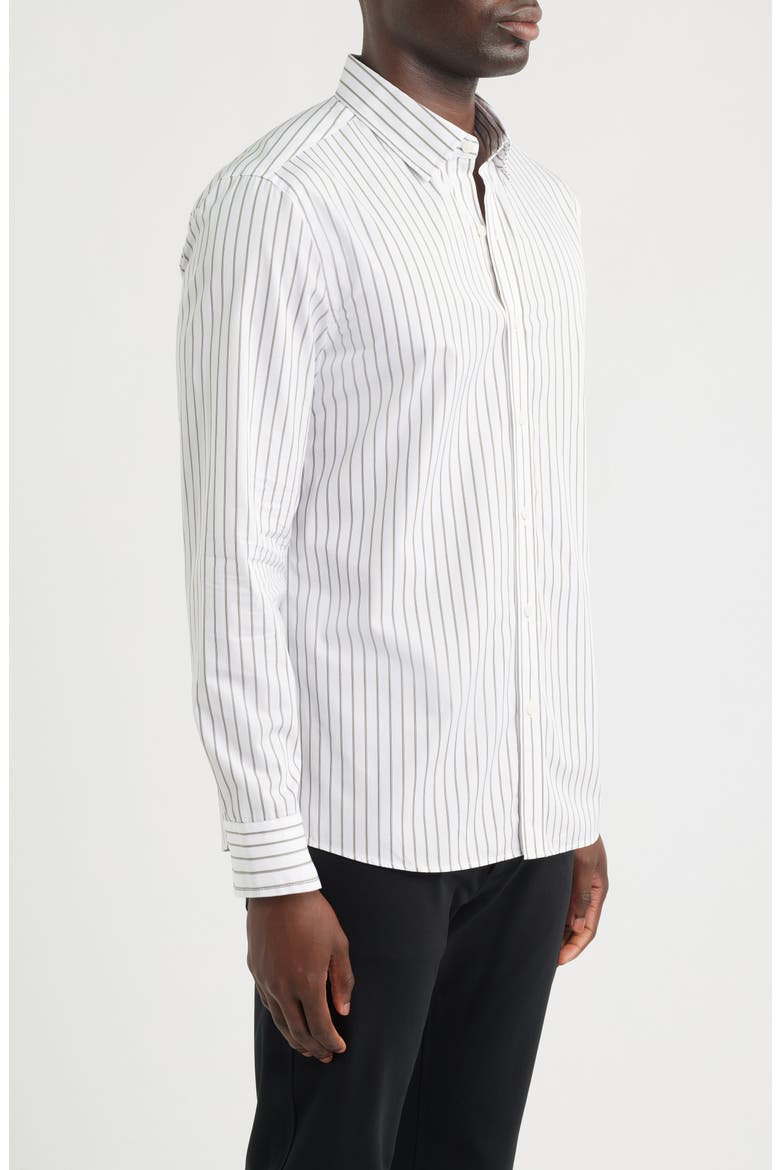 Stripe Regular Fit Cotton Button-Up Shirt, Alternate, color, WHITE BASE SENECA ROCK STRIPE