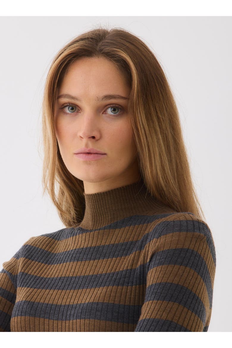 Merino Superfine Rib Knit Stripe Turtleneck, Alternate, color, CAMEL/ANTHRACITE CHINE