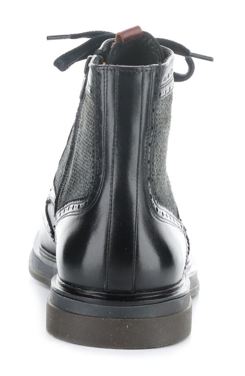 AMBITIOUS AMBITIOUS 12432 WINGTIP BOOT