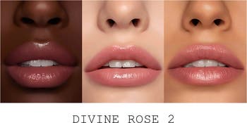 Divine Rose Jet Set Makeup Kit (Nordstrom Exclusive) $69 Value