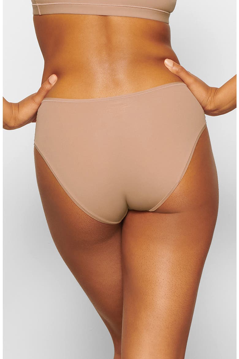 Fits Everybody Briefs, Alternate, color, SIENNA