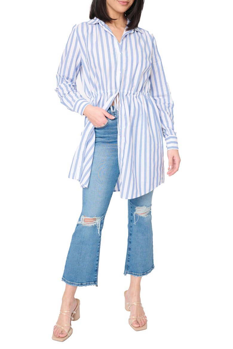 Long Sleeve Stripe Shirtdress, Alternate, color, SKY BLUE WHITE STRIPE