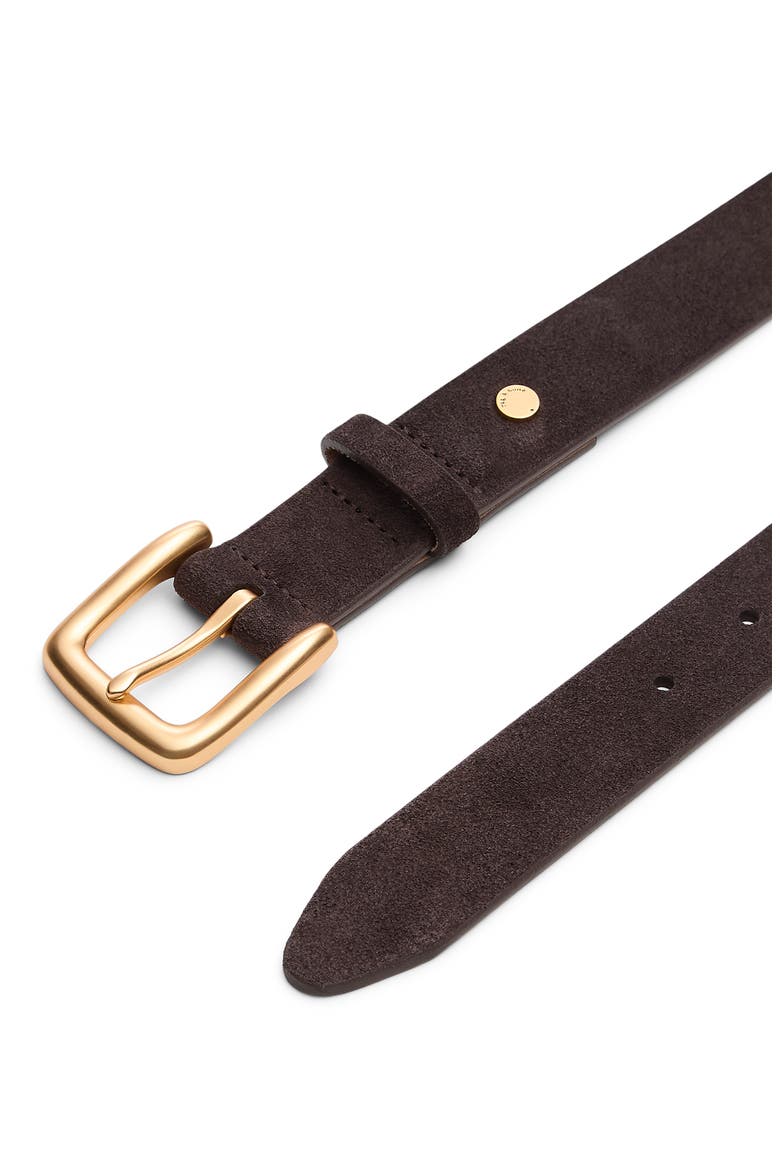 Cassie Suede Belt, Alternate, color, DARK CHOCOLATE SUEDE