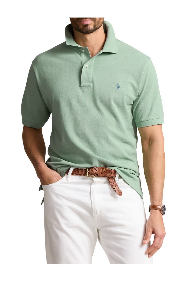 Big & Tall Mesh Polo Shirt, Main, color, FADED MINT