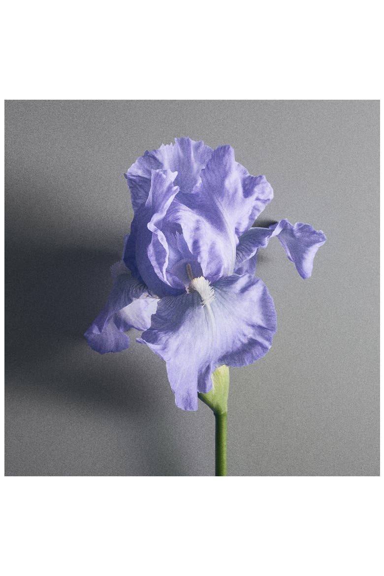 Iris Debonair Eau de Parfum, Alternate, color, NO COLOR
