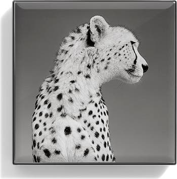 Essential Eye Trio Set $128 Value