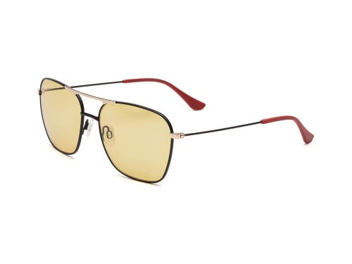 Caddis Hooper | Reading Glasses In Gold