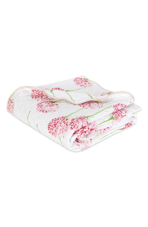 Matouk Floral Cotton Percale Quilt In Peony