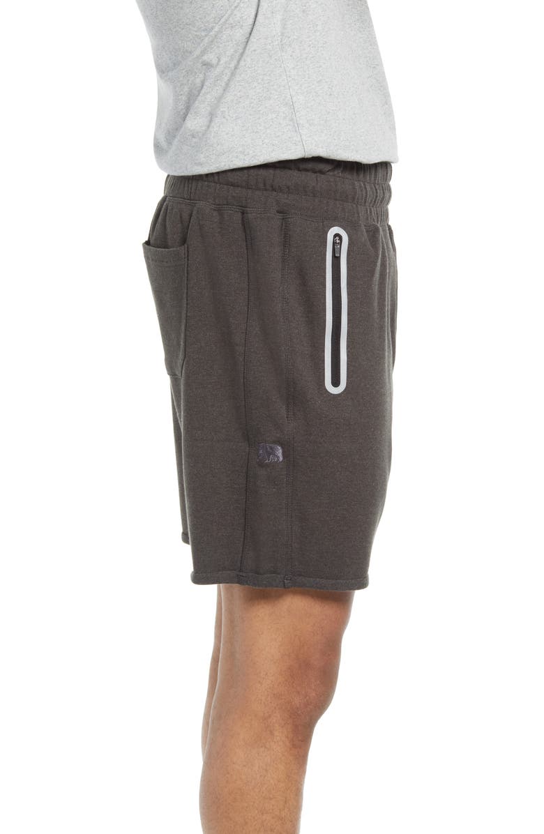 The Normal Brand Active Puremeso Gym Shorts, Alternate, color, 