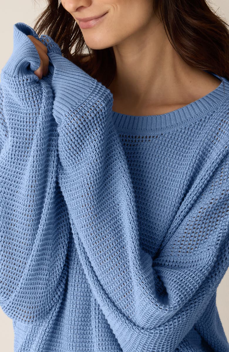 Eileen Fisher Organic Cotton & Tencel<sup>™</sup> Lyocell Crewneck Sweater, Alternate, color, Skylight