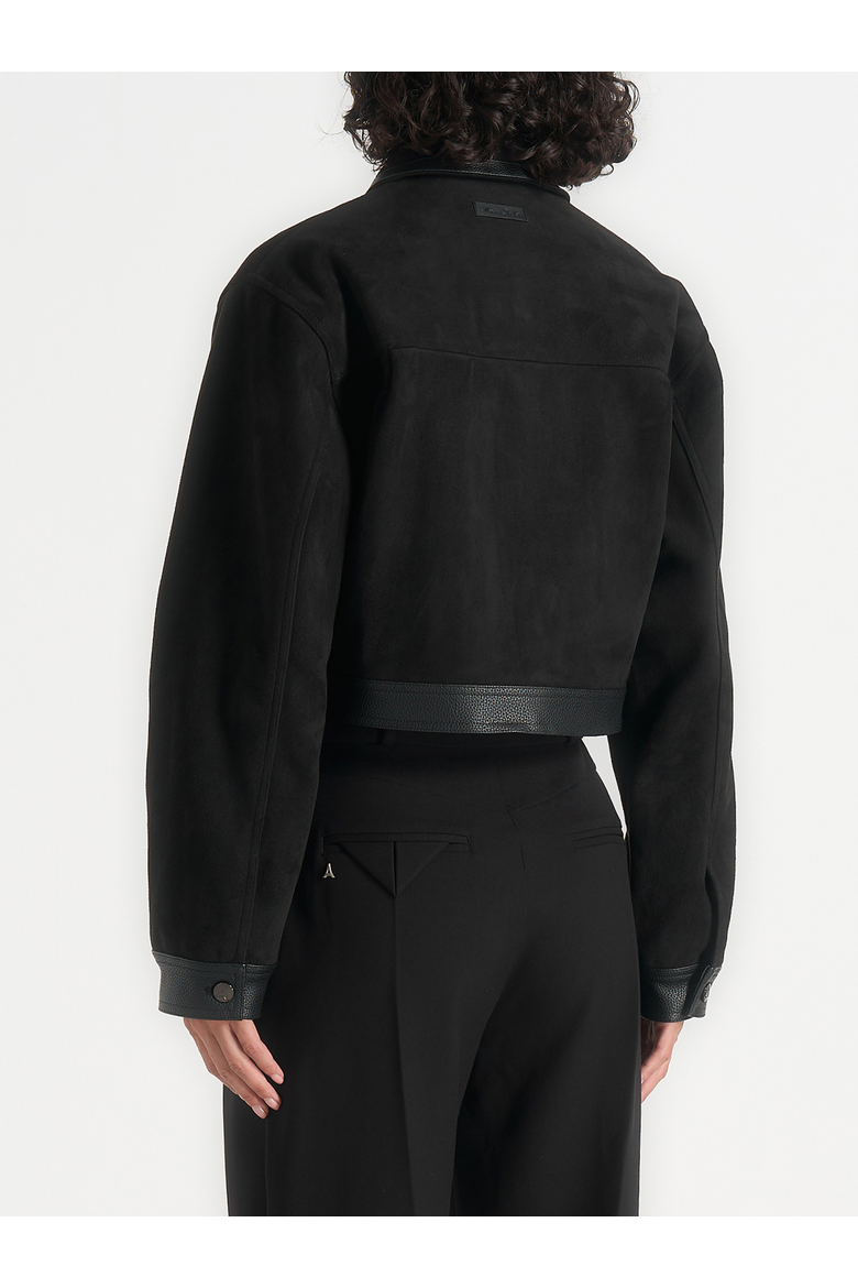 Denise Suede & Pebbled Leather Jacket, Alternate, color, Black