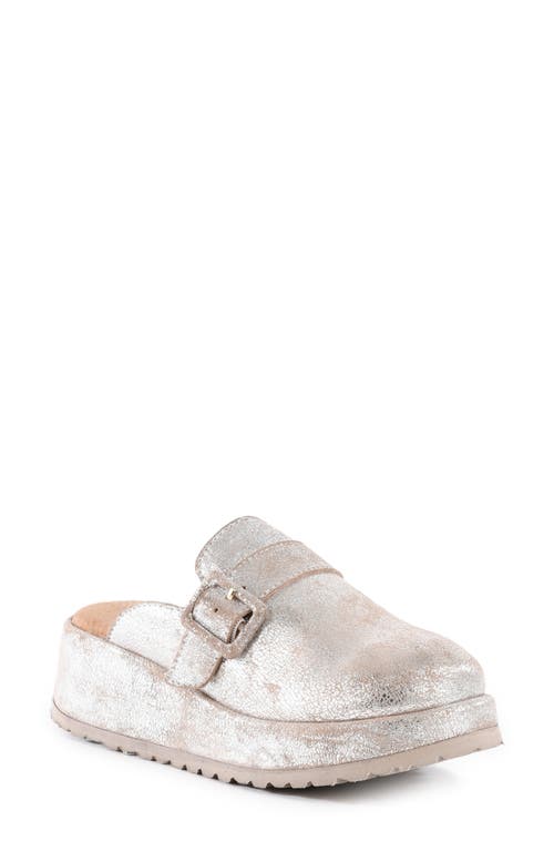 Seychelles Come Together Ii Platform Clog In Gray