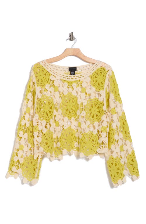 FORGOTTEN GRACE FORGOTTEN GRACE FLORAL CROCHETED SWEATER