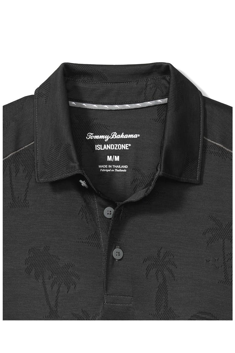Palm Coast Palmera IslandZone® Recycled Polyester Polo, Alternate, color, BLACK