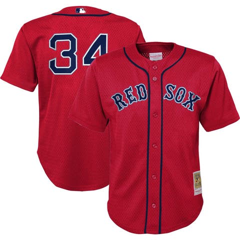 Preschool Mitchell & Ness David Ortiz Red Boston Red Sox Cooperstown Collection Mesh Batting Practice Jersey