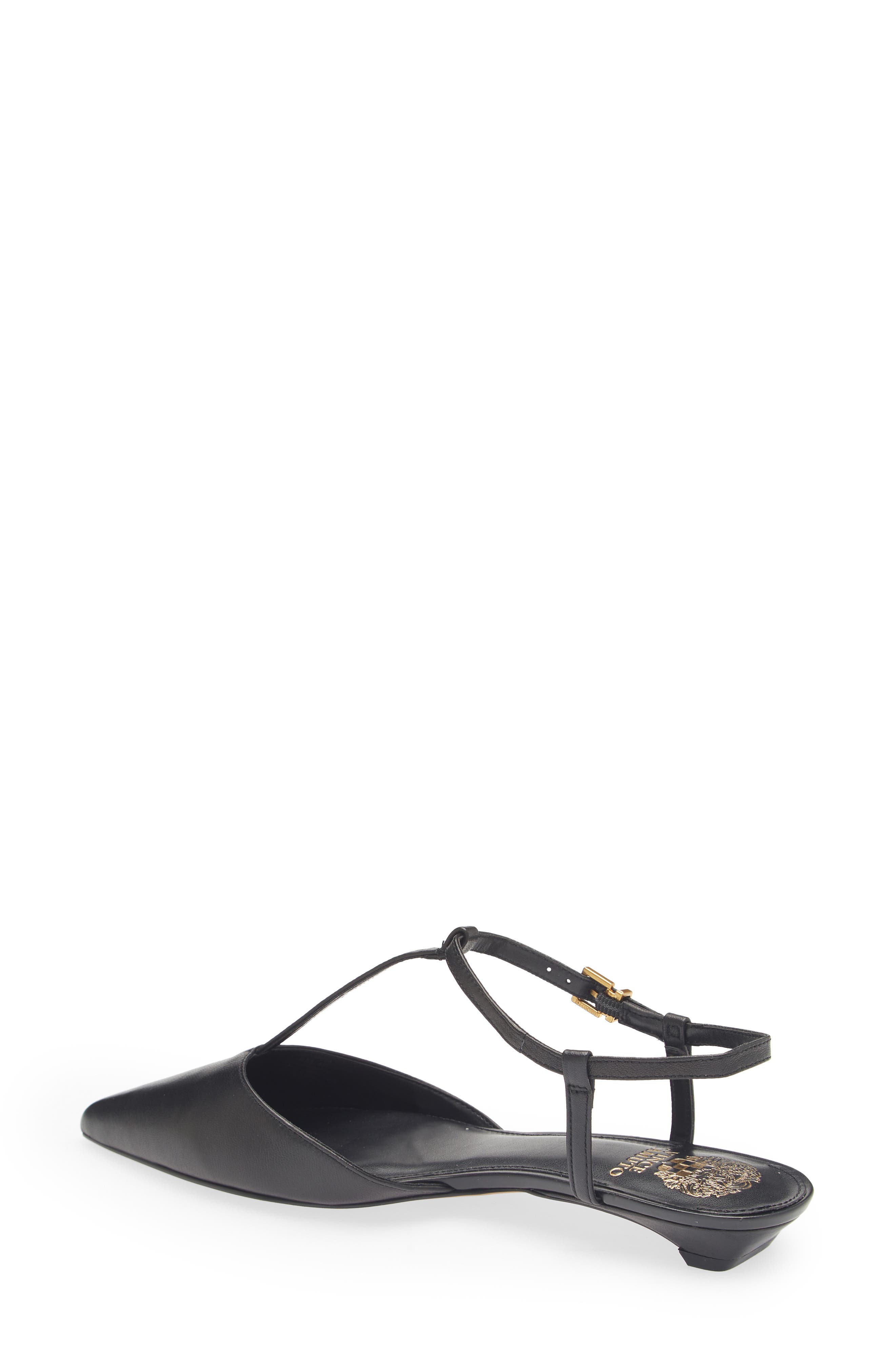 Vince Camuto Varena Ankle Strap Pointed Toe Flat, Alternate, color, Black