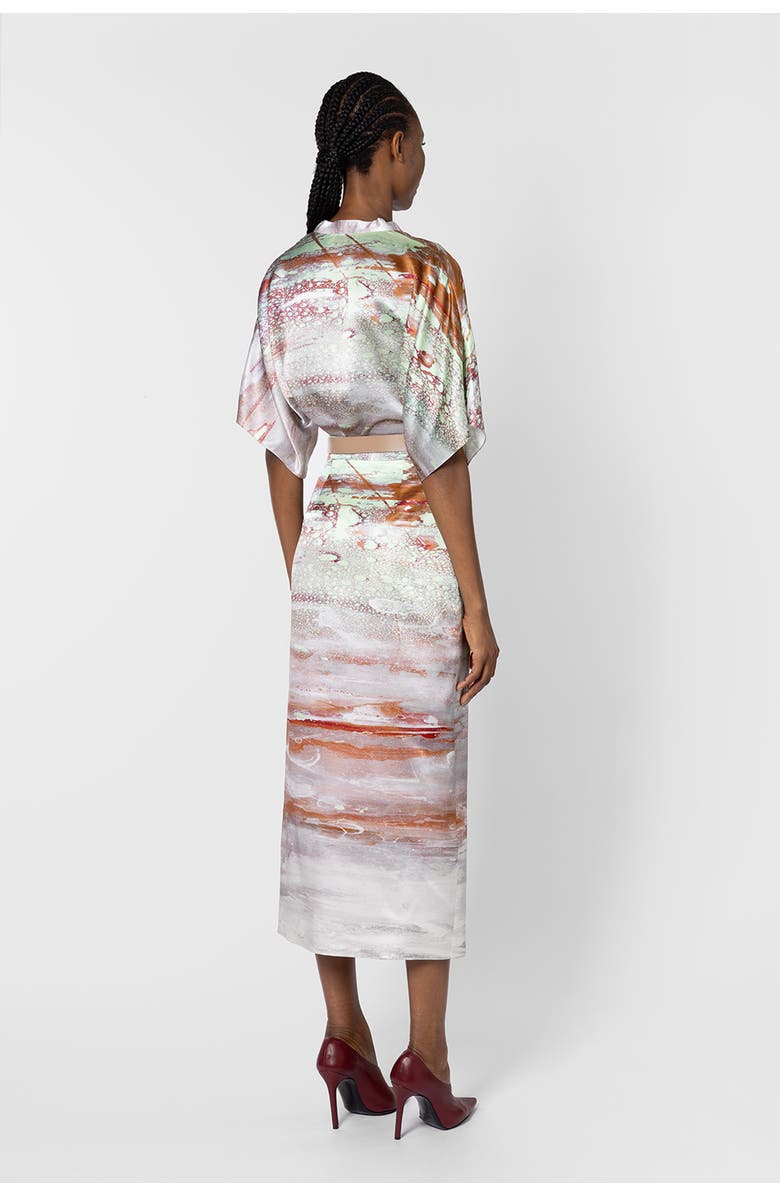 Roksanda Irma High Waisted Printed Skirt, Alternate, color, Brush Mint / Cinnamon / White