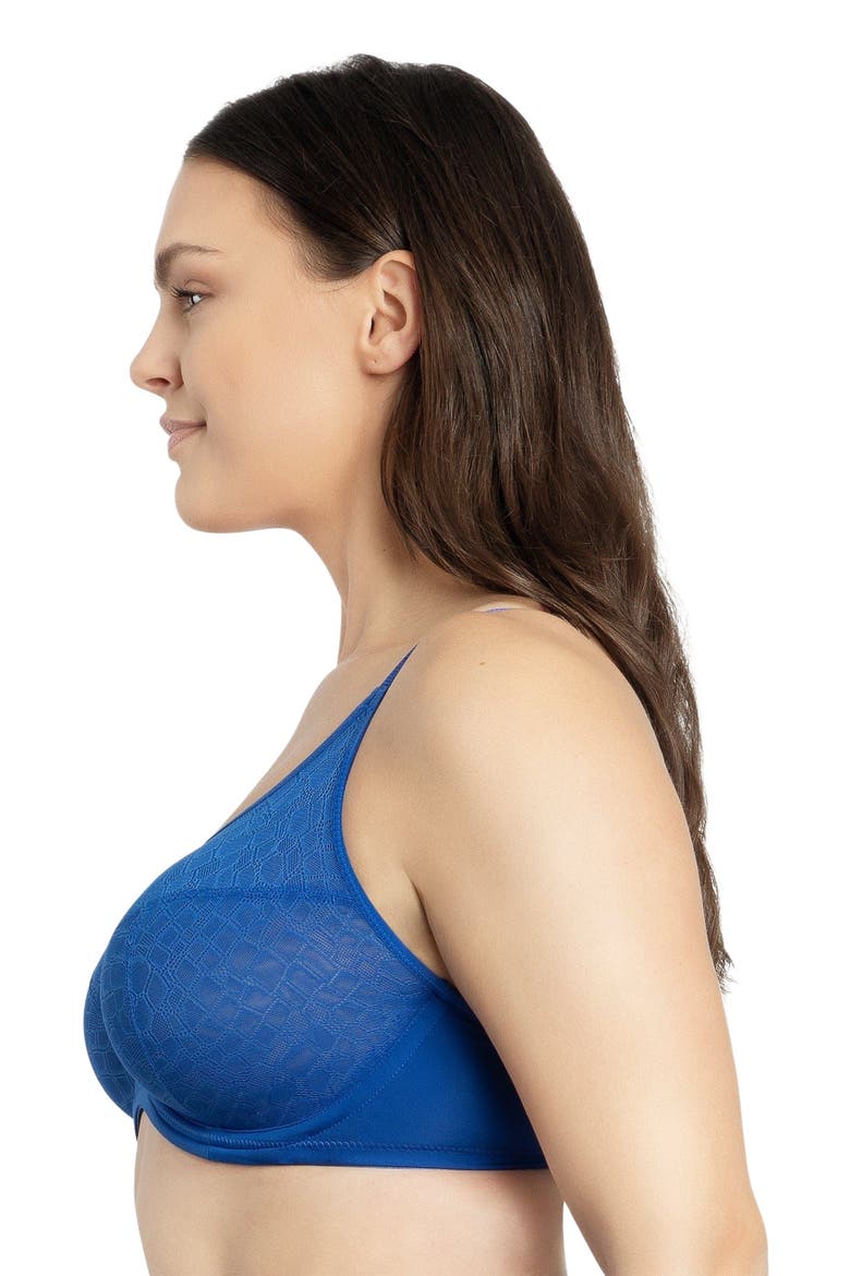 Enora Minimizer Bra, Alternate, color, Sapphire