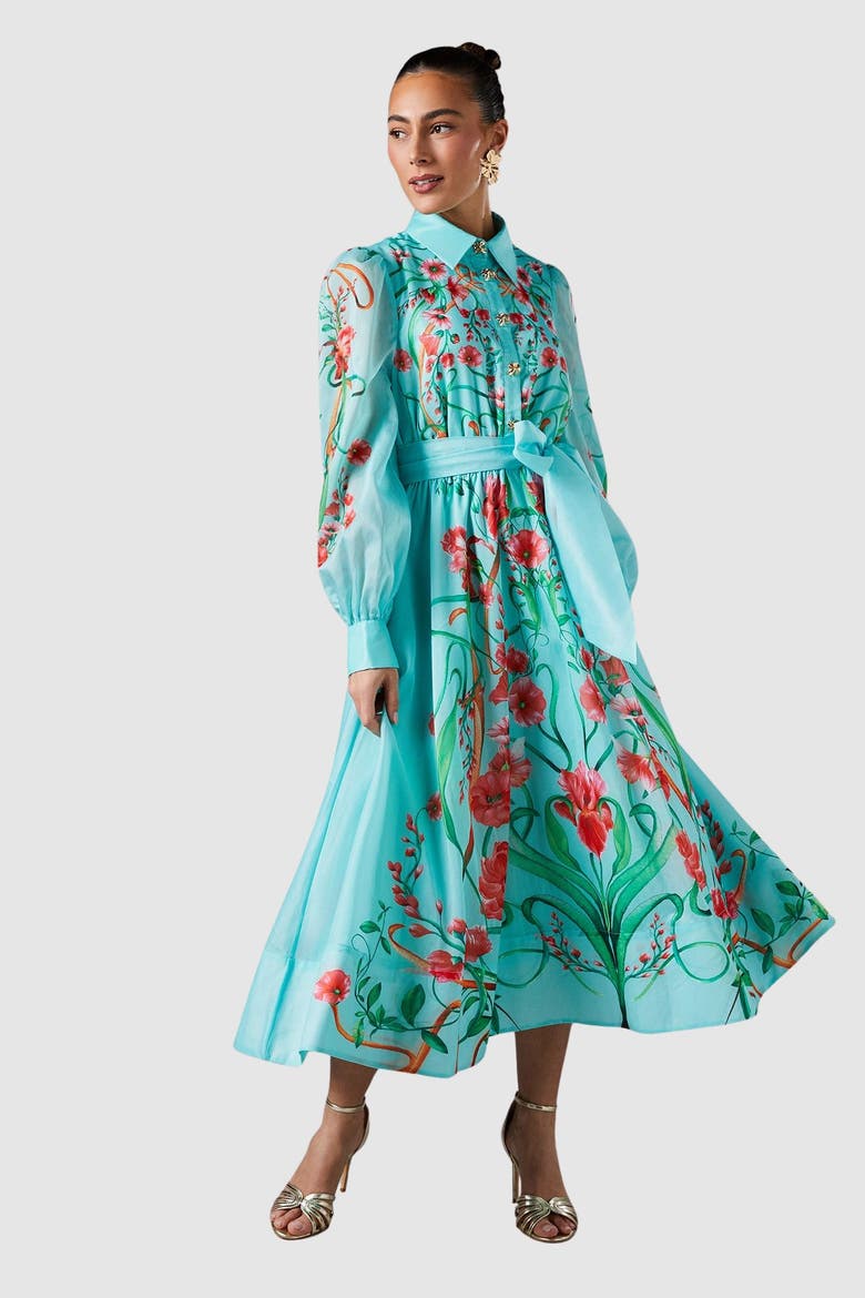Border Print Organza Shirt Dress, Main, color, Mint