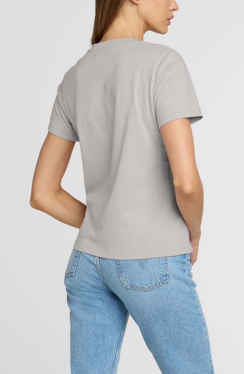 The Standard Stitch The Organic Cotton V-Neck Tee, Alternate, color, Oyster