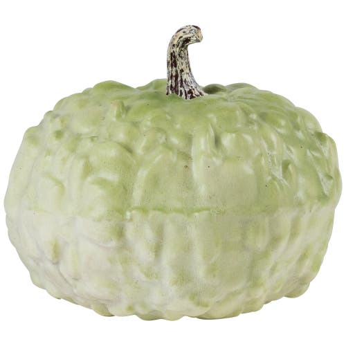 Northlight Heirloom Winter Gourd Fall Harvest Decoration In Green