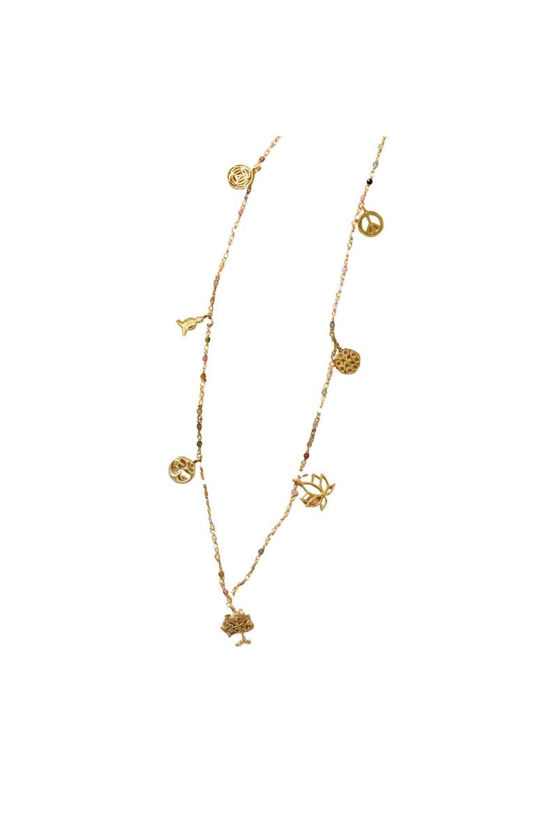 Good Fortune Charm Necklace, Main, color, Multi Color