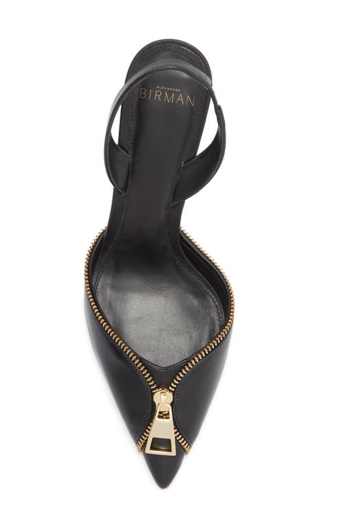 Alexandre Birman Zoe Zipper Pointed Toe Pump In Black