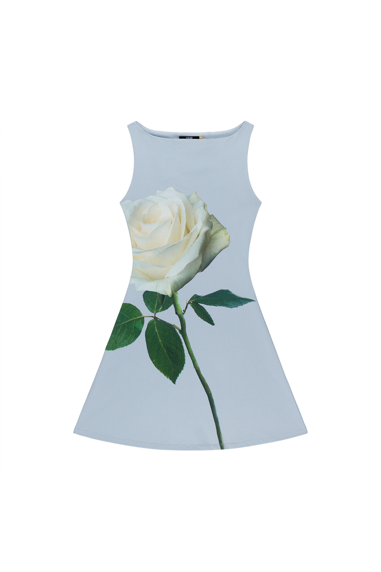 Dottie Dress, Main, color, Vintage Rose