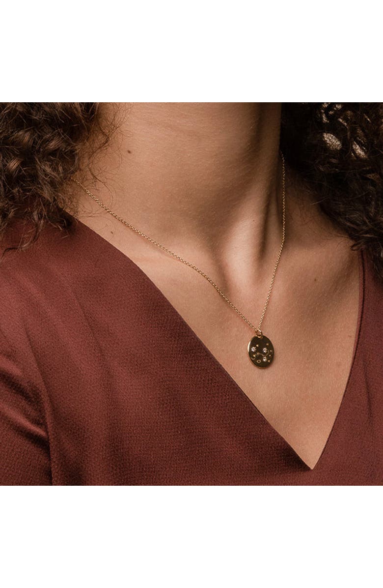 Bearfruit Jewelry 14k Gold Plated Star Constellation Necklace 12 Zodiac Signs Holiday Gift Guide, Alternate, color, Gold