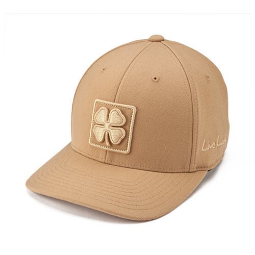 Black Clover Boxed in Luck 1 Hat in Tan  product