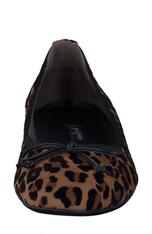 Paul Green Ursula Ballet Flat In Sisal Leo Velvet