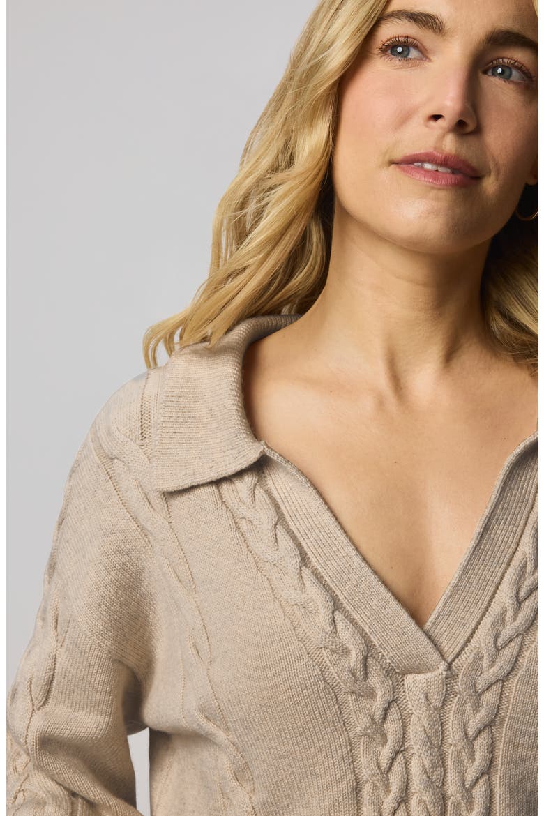 Jet Set Cable Stitch Polo Sweater, Alternate, color, CAPPUCCINO BROWN