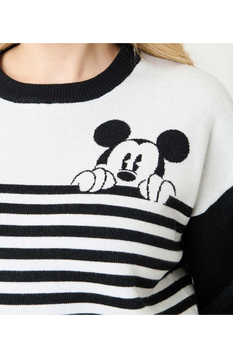 Unique Vintage Long Sleeve Sweater, Alternate, color, Black & White Stripes