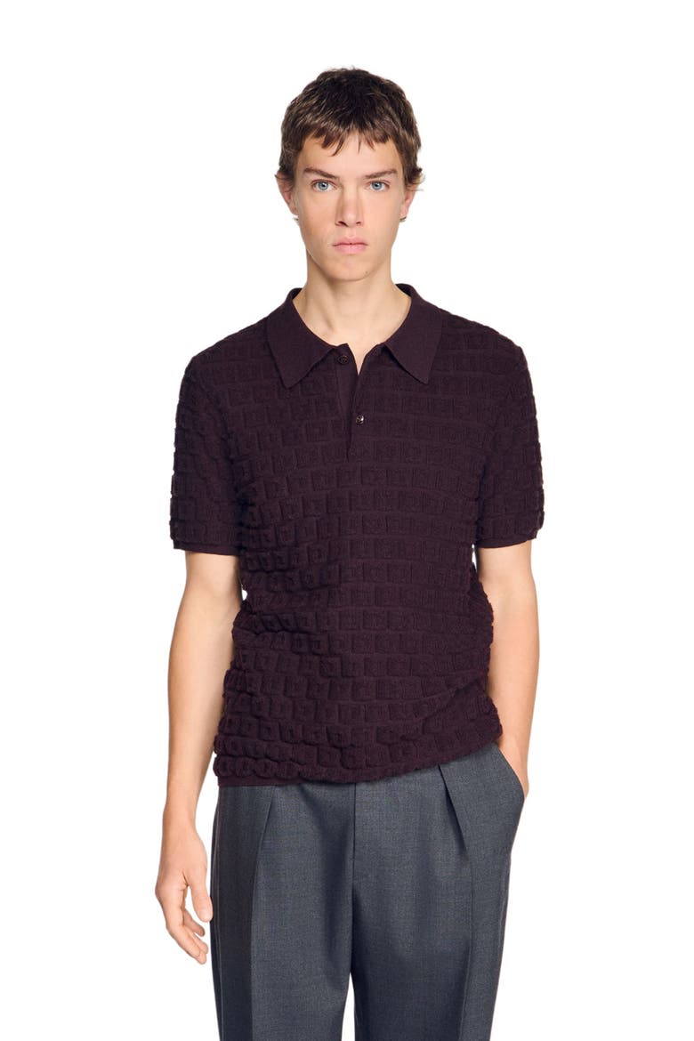 Terry knit polo shirt, Alternate, color, Chocolate