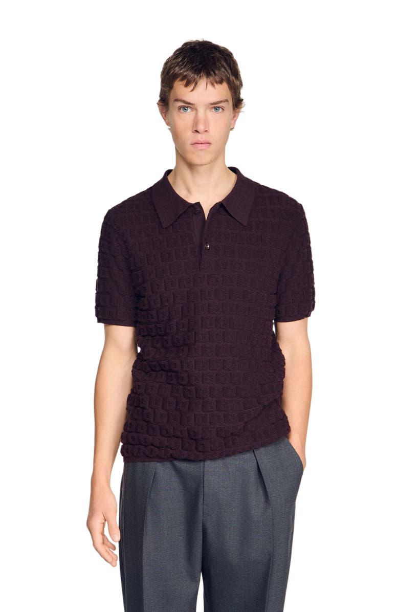 SANDRO Terry knit polo shirt, Alternate, color, Chocolate