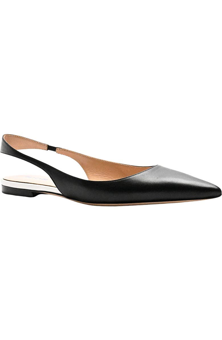 BETZÁBE Ana Pointed Toe Slingback Flat, Main, color, Black Nappa White Detail
