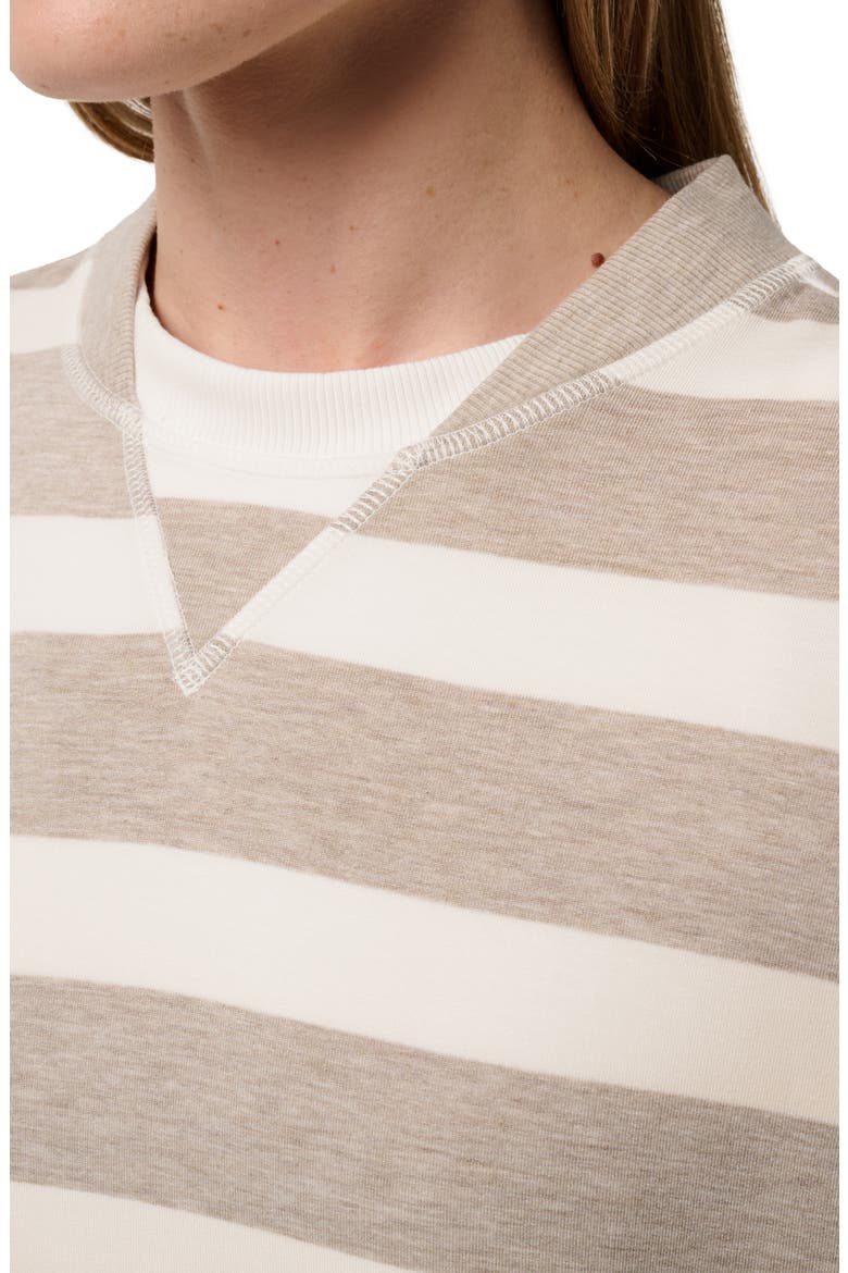 Cloud Oversize Terry Sweatshirt, Alternate, color, HEATHER SOFT TAUPE MULTI