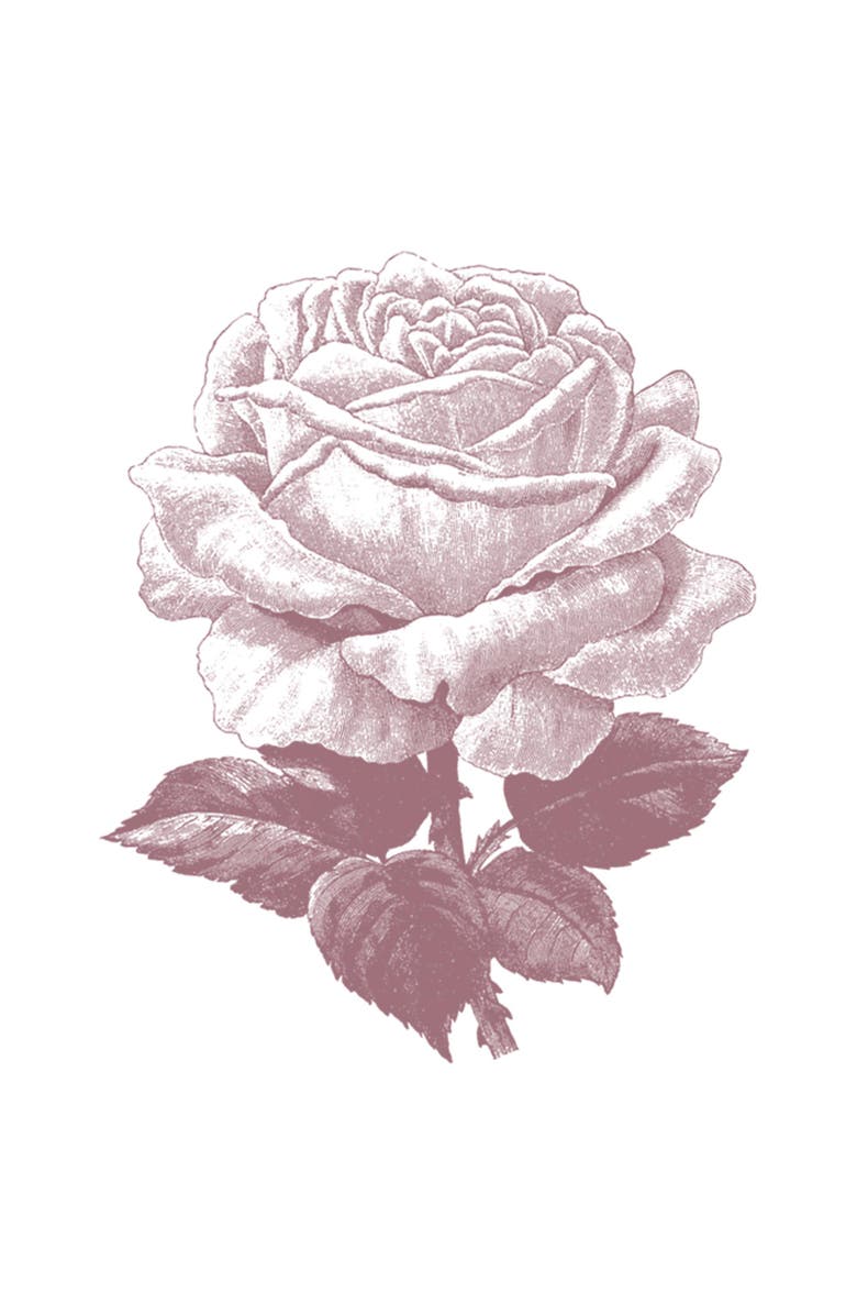 Lost Gods Women's Lost Gods Rose Sketch Graphic T-Shirt, Alternate, color, White