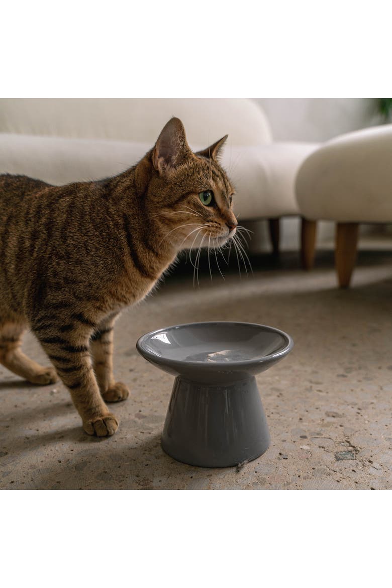 Flat Top Ceramic Cat Bowl, Grey, 7.5oz, Alternate, color, Gray