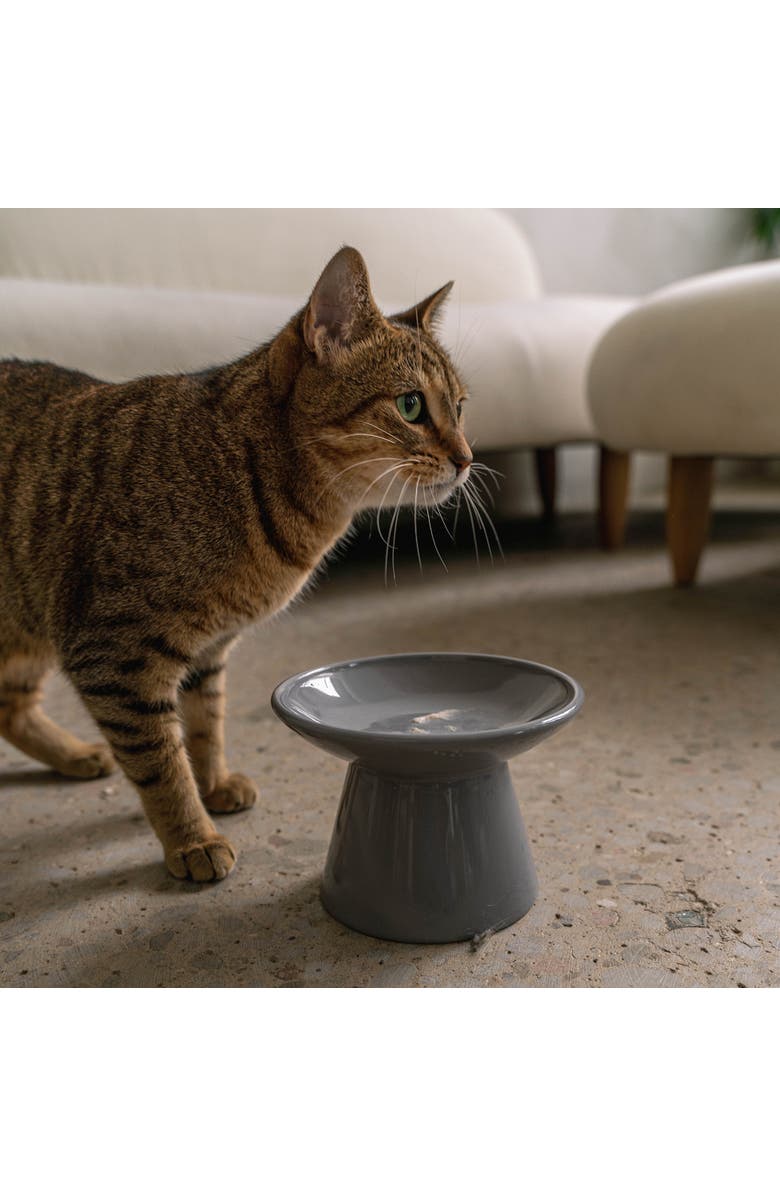 Dexypaws Flat Top Ceramic Cat Bowl, Grey, 7.5oz, Alternate, color, Gray