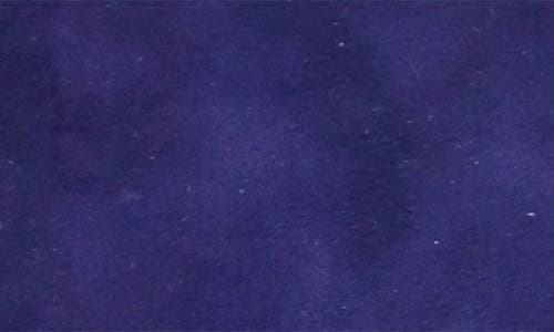 Portolano Suede Gloves In Blue