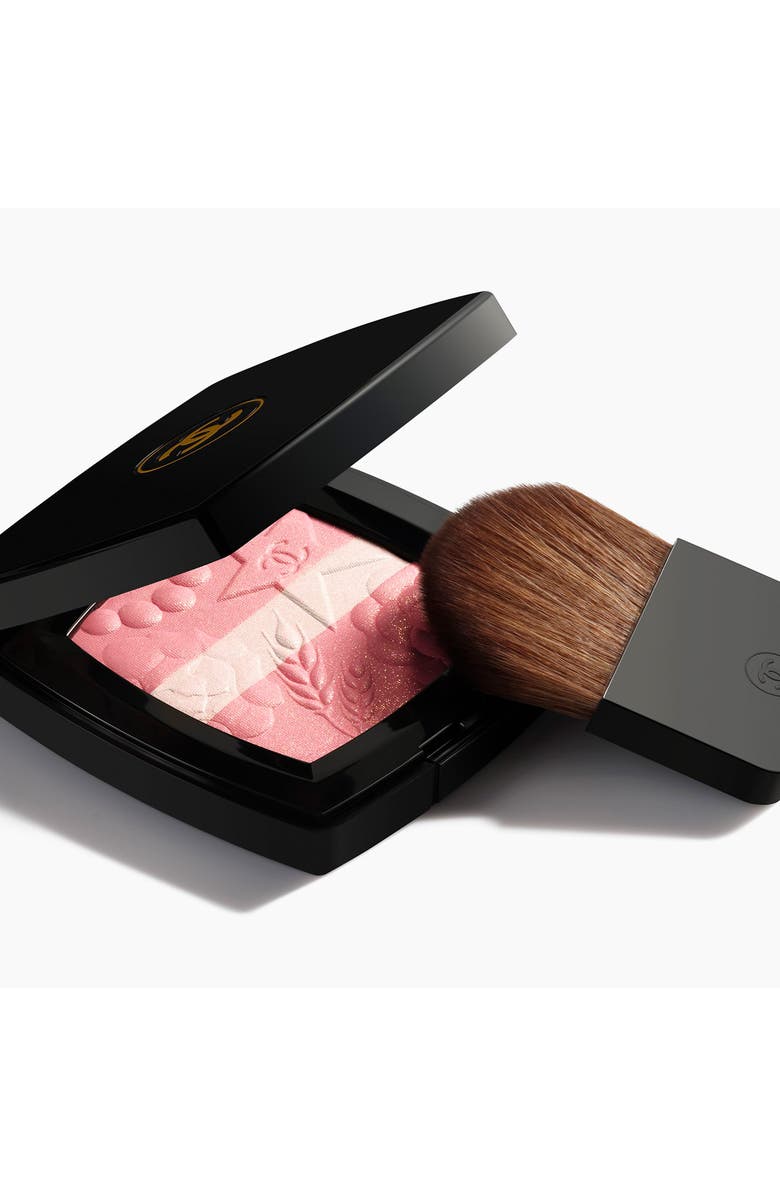 CHANEL FACE EXCLUSIVE CREATION PECHE Blush & Illuminating Powder Duo, Alternate, color, Rose Lumiere
