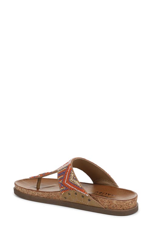 BLOWFISH MALIBU BLOWFISH MALIBU LYRIC FLIP FLOP