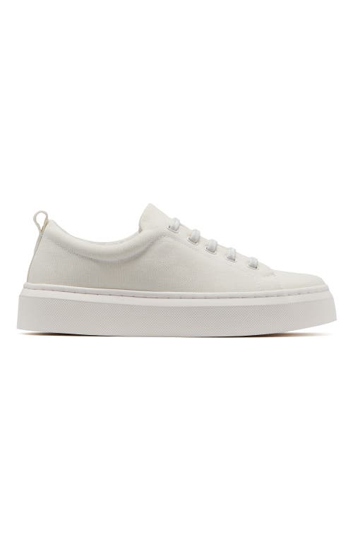 Abeo Jumpstreet Bungee Sneaker In White Canvas - Regular